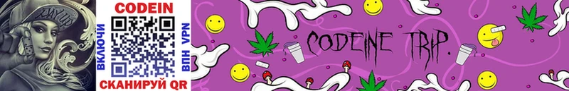 Купить закладки  Северобайкальск  Codein Purple Drank 