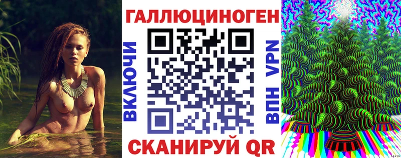 Галлюциногенные грибы Psilocybine cubensis  Купить закладки  Северобайкальск 